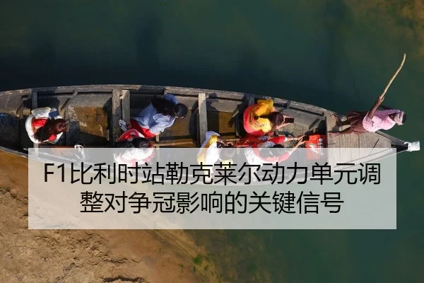 bi-li-shi-zhan-lei-ke-lai-er-dong-li-dan-yuan-tiao-zheng-dui-zheng-guan-ying-xiang-de-guan-jian-xin-hao-2-976.jpg